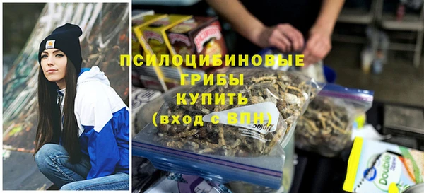 гашик Абаза